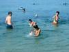 Swimm-play.jpg